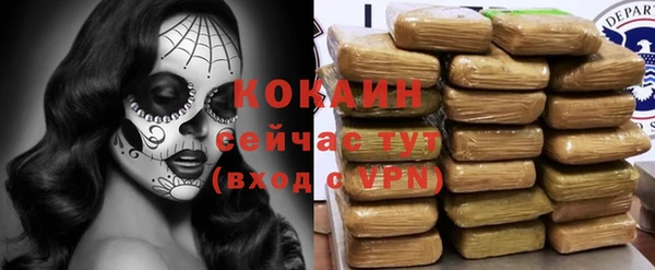 шишки Покровск