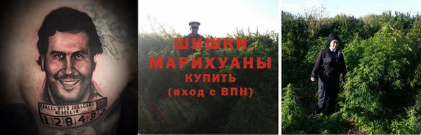 шишки Покровск