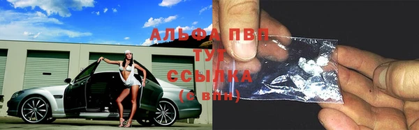 прущий лед Бикин