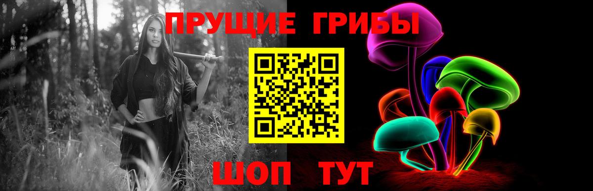 Галлюциногенные грибы GOLDEN TEACHER  Вход с VPN  Севастополь 