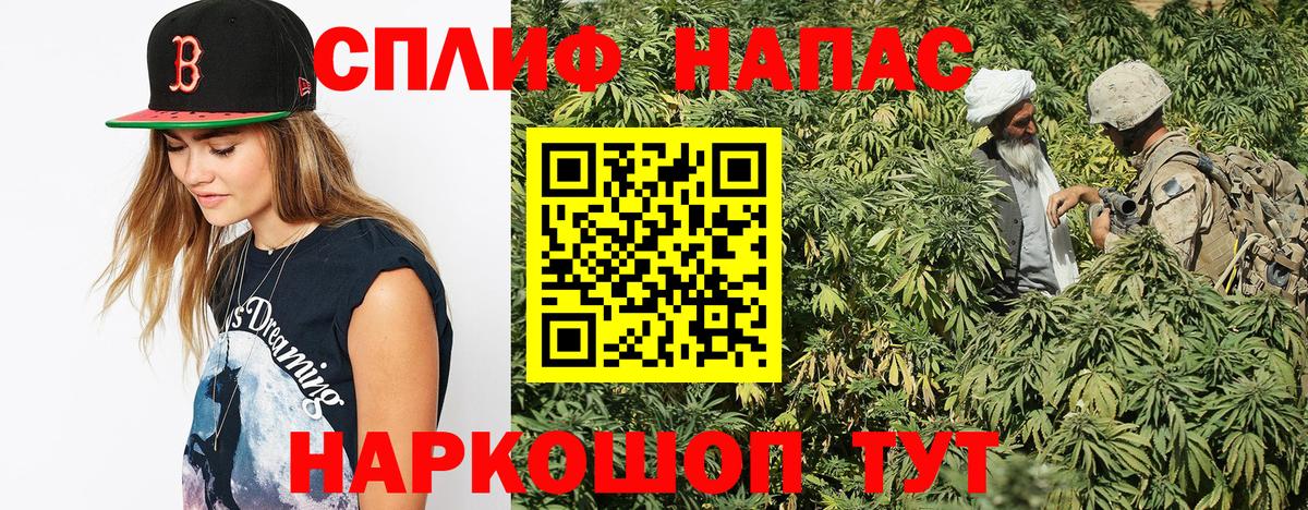 Шишки марихуана сатива Севастополь